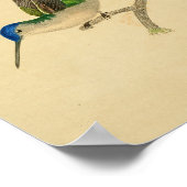 Poster Vintage 1830 Colibri Imprimer bleu vert (Coin)