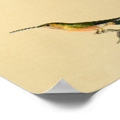 Poster Vintage 1830 Colibri Imprimer Vert orange (Coin)