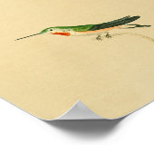 Poster Vintage 1830 Hummingbird Imprimer rouge vert (Coin)
