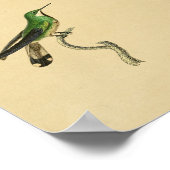 Poster Vintage 1830 Hummingbird Print Green (Coin)