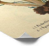 Poster Vintage 1831 Variété de champignons Brown Imprimer (Coin)