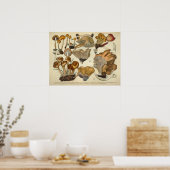 Poster Vintage 1831 Variété de champignons Brown Imprimer (Cuisine)