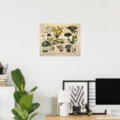 Poster Vintage 1831 Variété de champignons vert jaune Imp (Bureau à domicile)