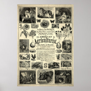 Poster Vintage 1866 L'agriculteur américain