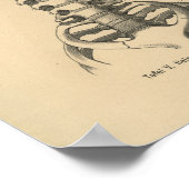 Poster Vintage 1888 Allemand Anatomie Imprimé Cervical Sp (Coin)