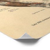 Poster Vintage 1888 Allemand Anatomie Imprimer Muscles de (Coin)