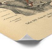 Poster Vintage 1888 Allemand Anatomie Imprimer Nerfs faci (Coin)