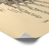 Poster Vintage 1888 Allemand Anatomie Poignée d'impressio (Coin)