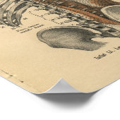 Poster Vintage 1888 Anatomie allemande Imprimer les muscl (Coin)