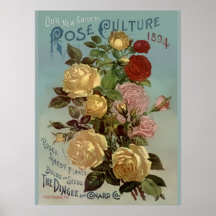 Poster Vintage 1894 Guide de la culture Rose