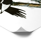 Poster vintage à bec ivoire (Coin)