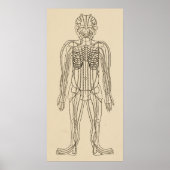 Poster Vintage Acupuncture Meridian Pathways Points (Devant)