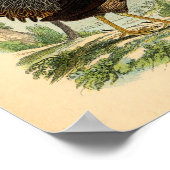 Poster Vintage Agricole Victorian Print Roster (Coin)