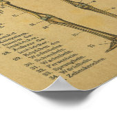 Poster Vintage allemand Anatomie Print Squelette (Coin)