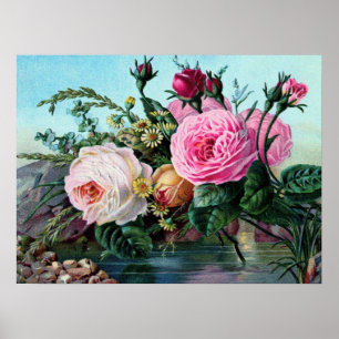 Poster Vintage Anglais Rose Floral Imprimer Shabby Chic v
