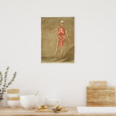 Poster Vintage Antique Médicale Anatomie Diagramme anatom (Cuisine)
