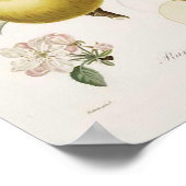 Poster vintage Apple (Coin)