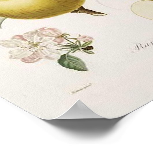 Poster vintage Apple (Coin)