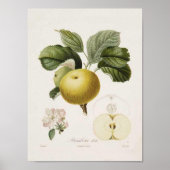 Poster vintage Apple (Devant)