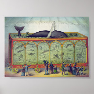 Poster Vintage Aquarium Ad