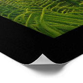 Poster Vintage Art man attaque par un jaguar (Coin)