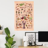 poster vintage arthopods 1920 (Bureau à domicile)