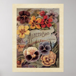 Poster Vintage Assorted Pansies Seed Packet