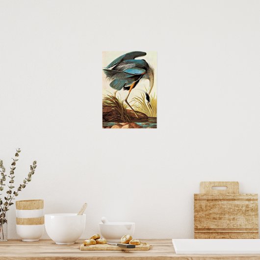 Poster vintage Audubon (Cuisine)