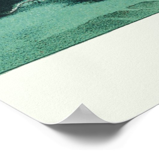 Poster vintage Aurora Borealis (Coin)