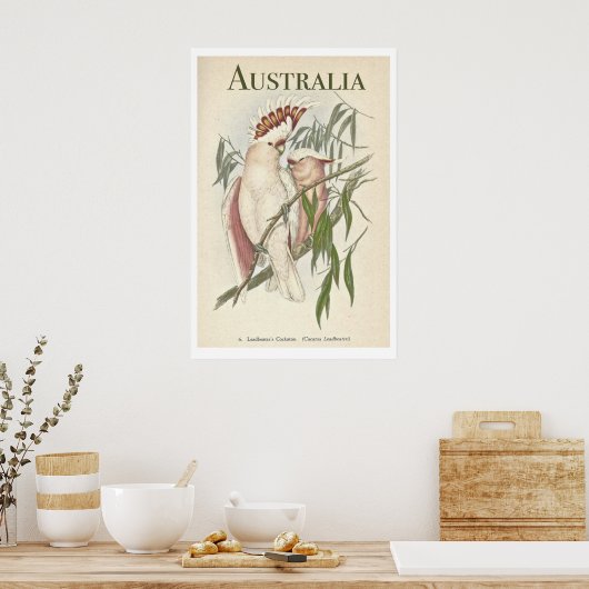 Poster vintage Australian Galah (Cuisine)