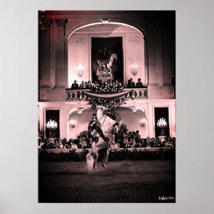 Poster Vintage Autriche Vienne Courbette Espagnole