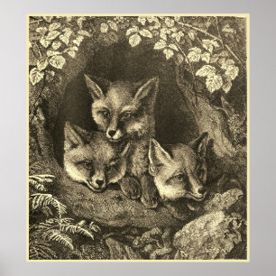 Poster Vintage baby fox woodland