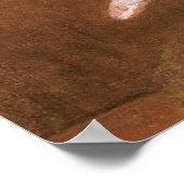 Poster vintage Ballerina (Coin)