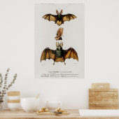Poster Vintage Bat Illustration (Cuisine)