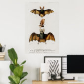Poster Vintage Bat Illustration (Bureau à domicile)