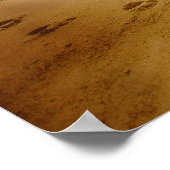 Poster vintage Beach (Coin)