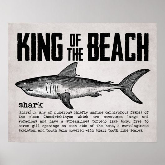 Poster Vintage Beach King Définition du requin (Devant)