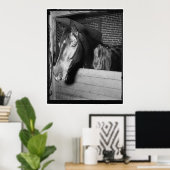 Poster Vintage Billy le cheval (Bureau à domicile)