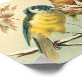 Poster Vintage Bird and Branches (Coin)