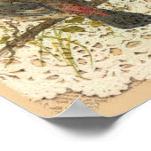 Poster Vintage Bird and Doilie (Coin)