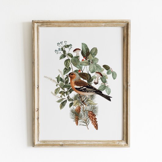 Poster Vintage Bird and Mushroom Botanical