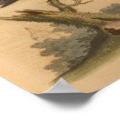 Poster Vintage Bird Black Red Print (Coin)