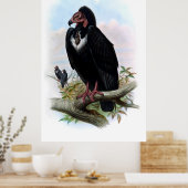 Poster Vintage Black Vulture Bird (Cuisine)