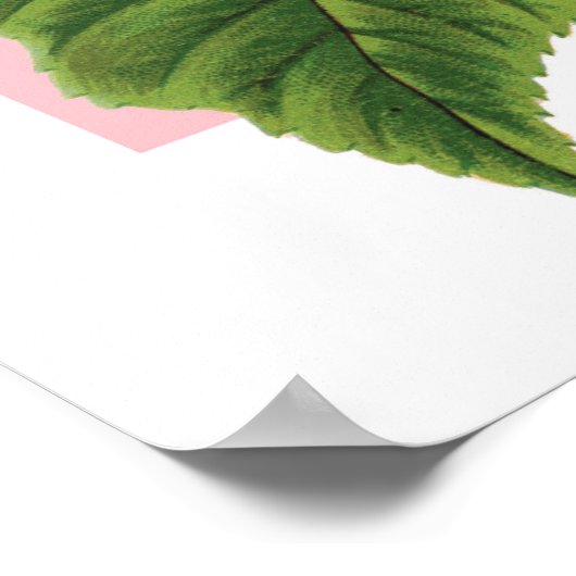 Poster vintage Blue Hydrangea (Coin)