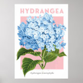 Poster vintage Blue Hydrangea (Devant)