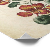 Poster Vintage Botanical Floral Nasturtium Print (Coin)