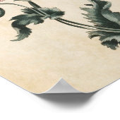 Poster Vintage Botanical Floral Poppy Print (Coin)