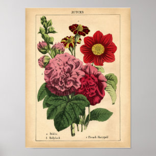 Poster Vintage Botanique Automne Automne automne Floral I