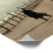 Poster vintage Bray (Coin)