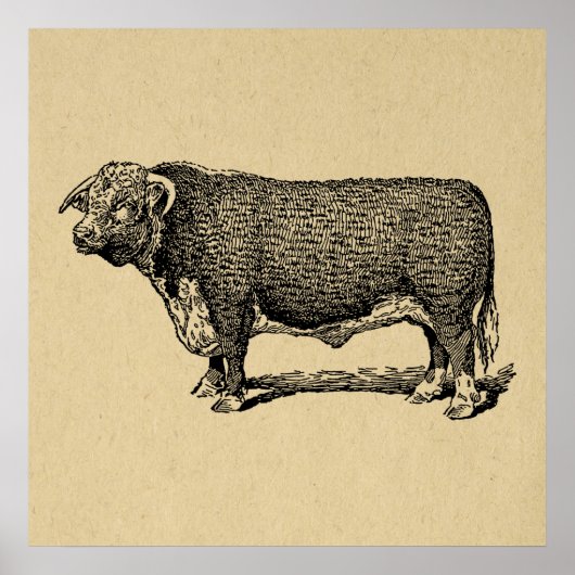 Poster Vintage Bull Country & Farm Theme Art (Devant)